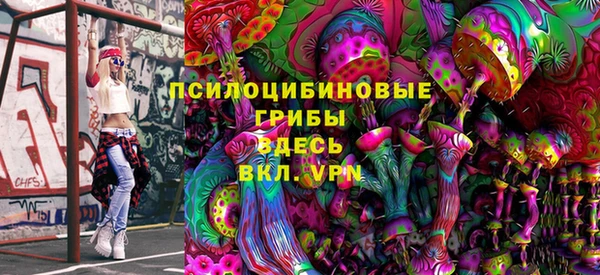 мдпв Мегион
