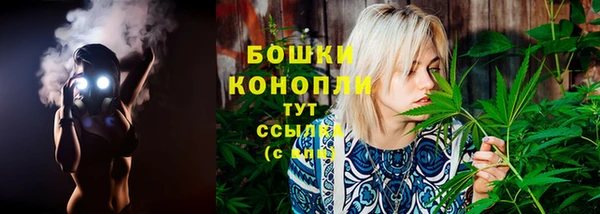 гидропоника Михайловск
