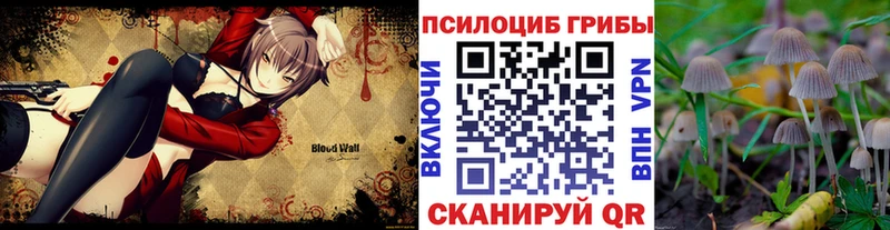 Галлюциногенные грибы ЛСД  Нерехта 