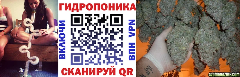 цена   Нерехта  Бошки марихуана THC 21% 
